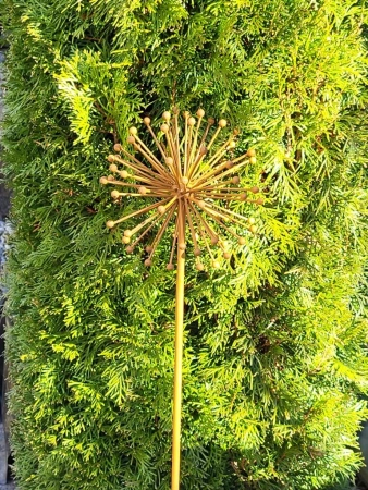 Edelrost Blume Allium (Kugellauch) 3D, verblüht