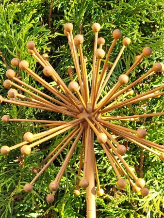 Edelrost Blume Allium (Kugellauch) 3D, verblüht