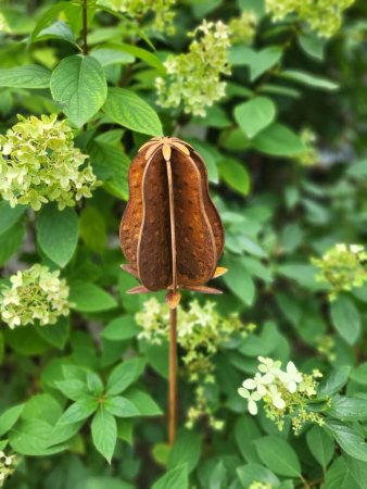 Edelrost Gartenstecker Amy, längliche Kapsel
