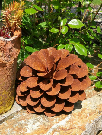 Edelrost Balldahlie