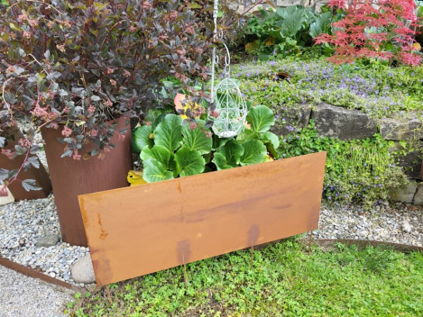 Preview: Beeteinfassungen oder Rasenkanten, vorgerostet, 100x40 cm