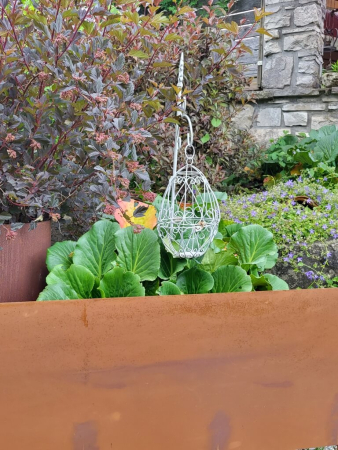 Preview: Beeteinfassungen oder Rasenkanten, vorgerostet, 100x40 cm