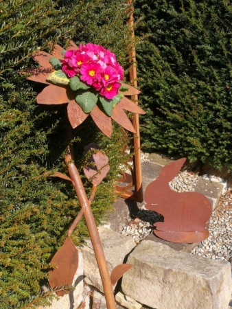 Edelrost Blume Selma zum Bepflanzen