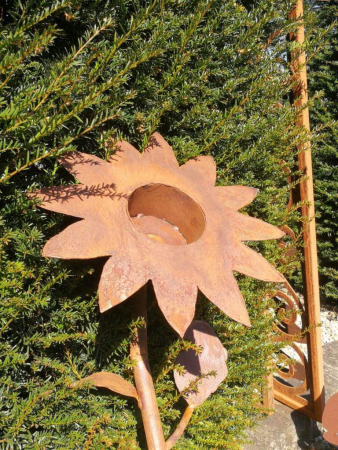 Preview: Edelrost Blume Selma zum Bepflanzen