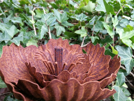 Preview: Edelrost Blume Agneta, klein