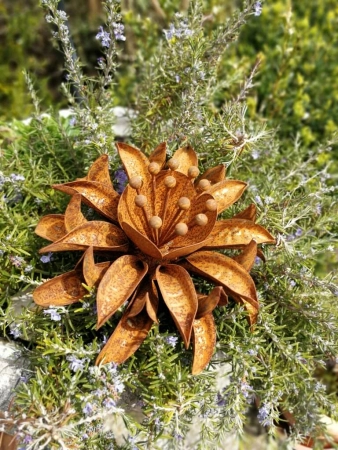 Edelrost Blume Alcantara
