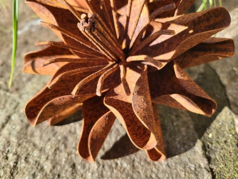 Edelrost Blume Anouke, klein