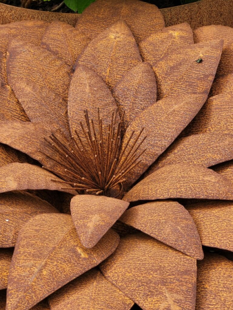 Edelrost Blume Aruna, groß