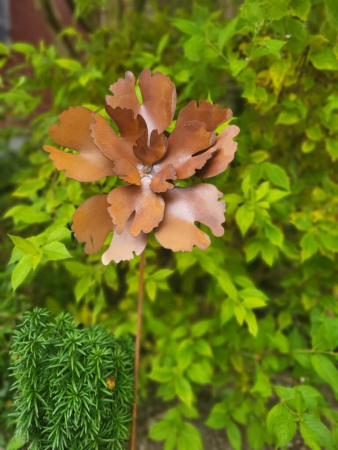 Preview: Edelrost Blume Babett