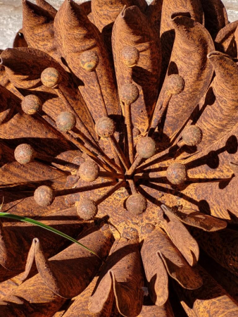 Preview: Edelrost Blume Beatrix