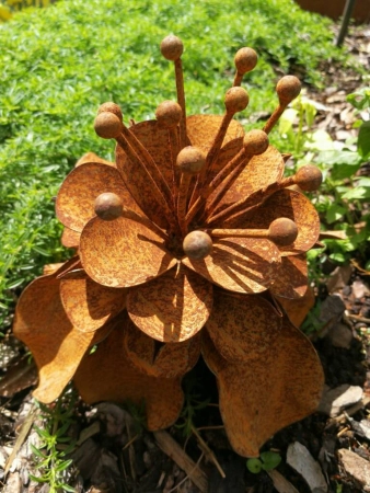 Edelrost Blume "Camilla"
