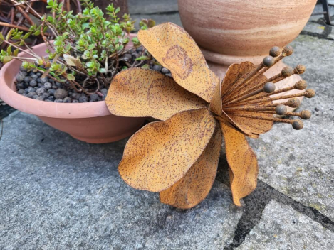 Edelrost Blume Camilla