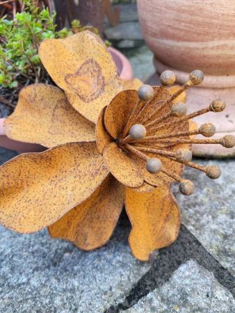 Edelrost Blume Camilla