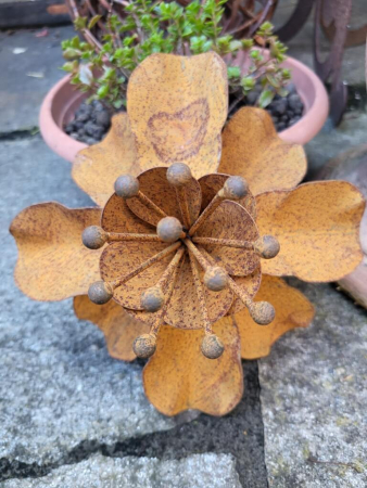 Edelrost Blume Camilla