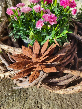 Preview: Edelrost Blume Claire