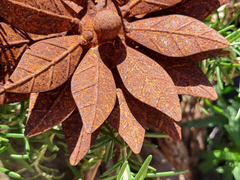 Preview: Edelrost Blume Claire