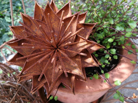 Preview: Edelrost Blume Electra, klein