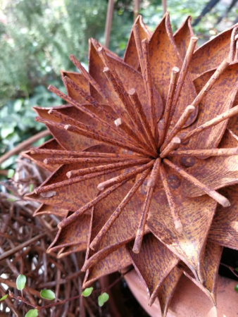 Preview: Edelrost Blume Electra, klein