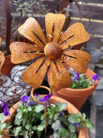 Edelrostoptik Blume Elke, gedrehter Stab
