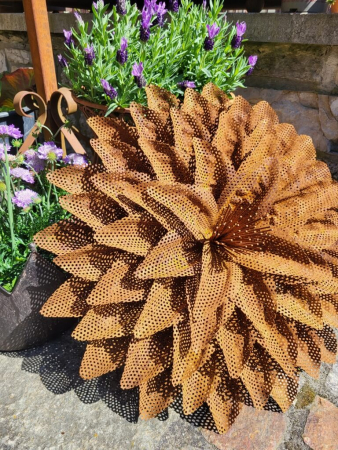 Edelrost Blüte Evita, mit Lochblech