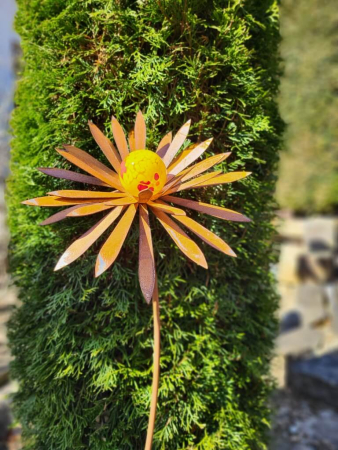 Edelrost Blume Ilonka, spitze Blätter