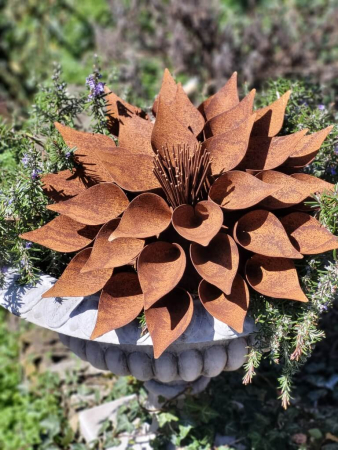 Edelrost Blume Kimani