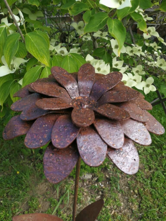 Preview: Edelrost Blume Klara