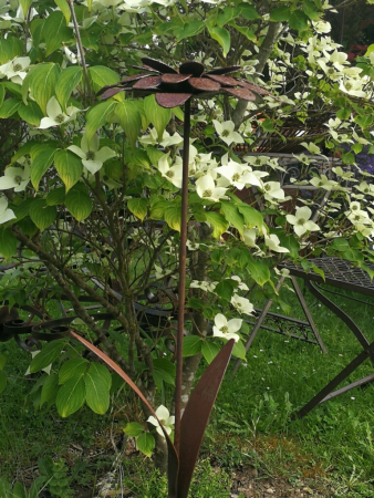 Preview: Edelrost Blume Klara