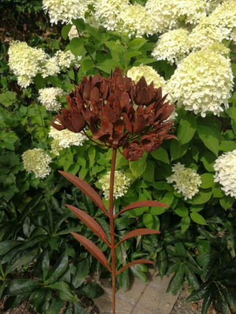 Edelrost Blume Luna