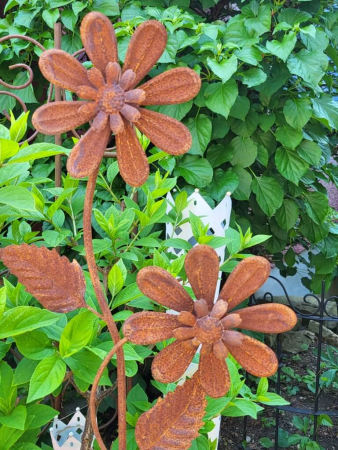 Edelrost 2er Blüte Marina, mit Windradfunktion