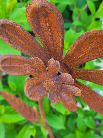 Preview: Edelrost 2er Blüte Marina, mit Windradfunktion