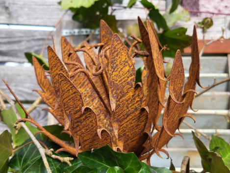 Preview: Edelrost Blume Papagena, gezackt