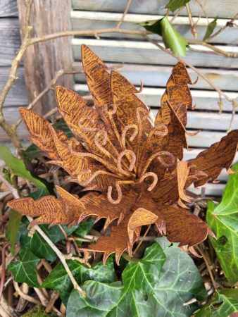 Preview: Edelrost Blume Papagena, gezackt