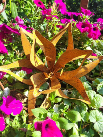 Edelrost Blume Rosemarie, offen