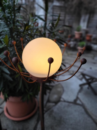 Edelrost Solarblume Sommernachtstraum, weiß