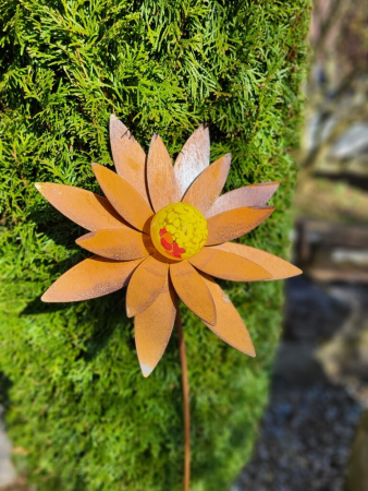 Edelrost Blume Swetlana, breite Blätter