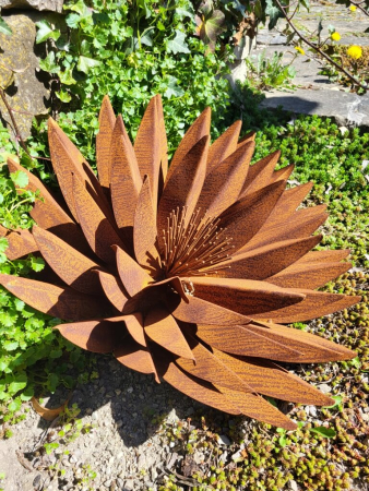 Edelrost Blume Theodora