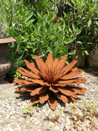Edelrost Blume Vanessa