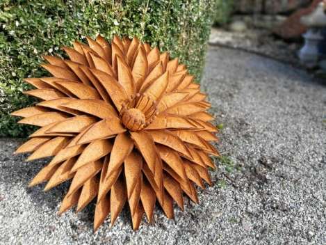 Edelrost Blume Volaria