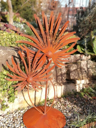 Edelrost Chrysantheme auf Platte