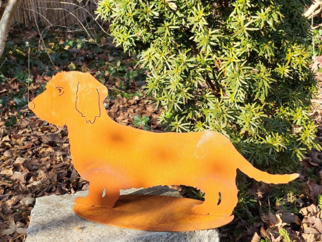 Edelrost Rauhhaardackel, klein