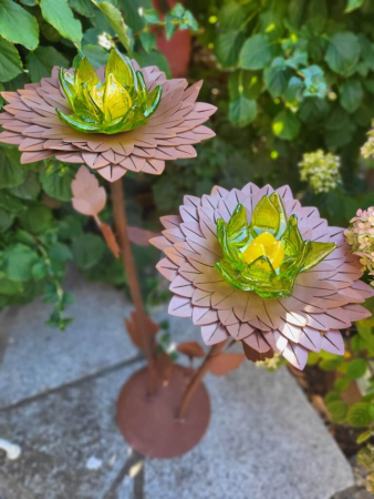 Edelrost Glasblume Dalie 2 Blüten, grün