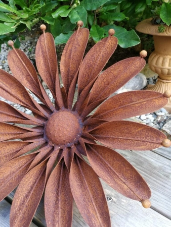 Edelrost Blume Gerbera