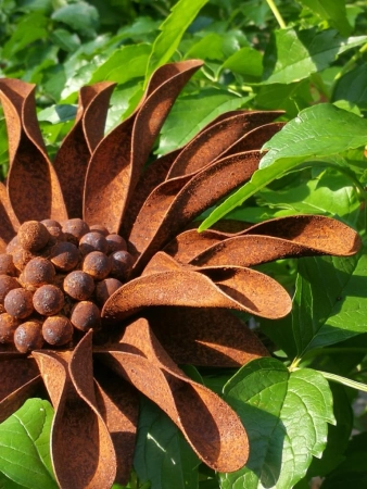 Edelrost Blume Ringelblume