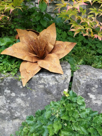 Edelrost Blume Taglilie