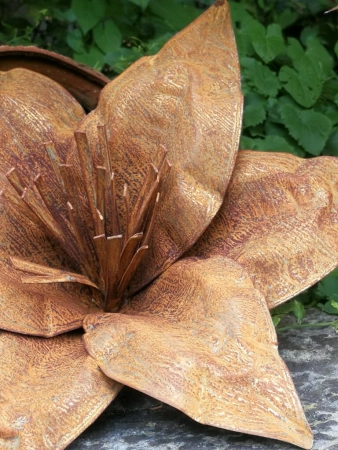 Edelrost Blume Taglilie