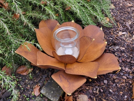 Edelrost Echeveria mit Goldspitzen