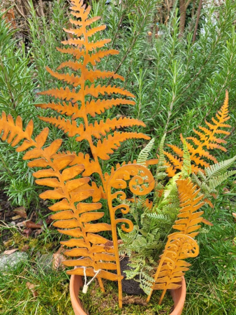 Preview: Edelrost Topfstecker Farne Meda, 6er-Set