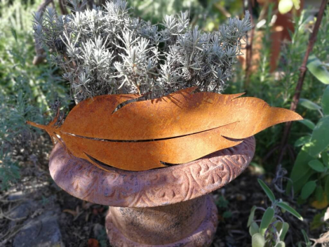 Preview: Edelrost Feder für Töpfe, Model (B)