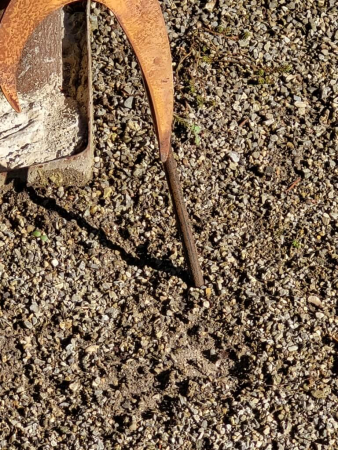 Edelrost Dekofeder zum Stecken